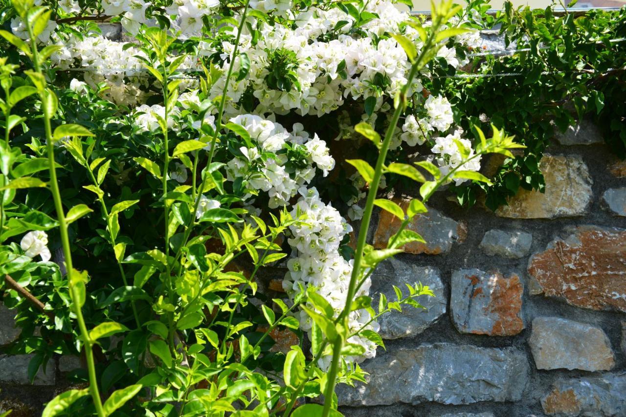 Melina Skiathos Kolios ภายนอก รูปภาพ